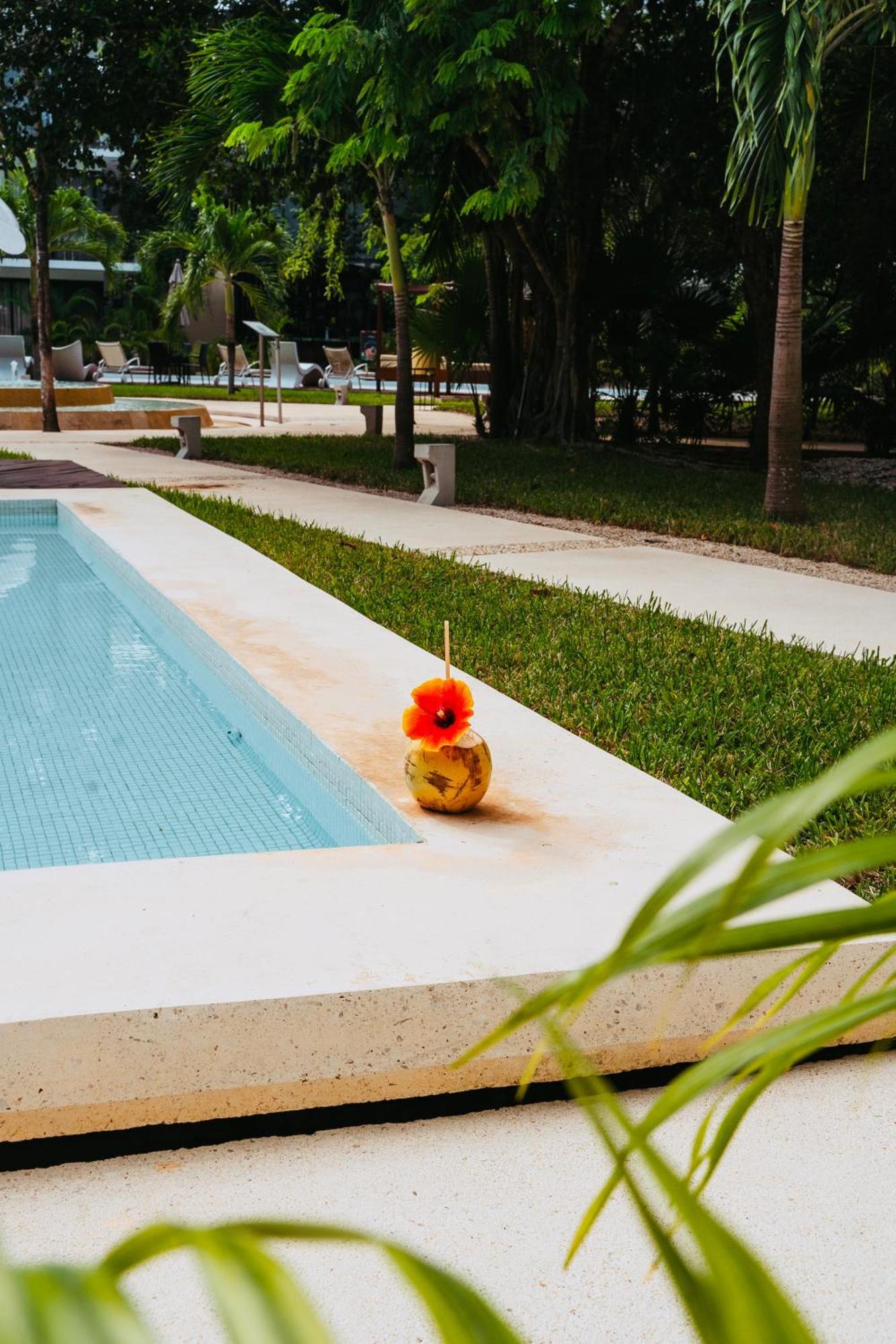 Luz De Luna Ii Apartment Tulum