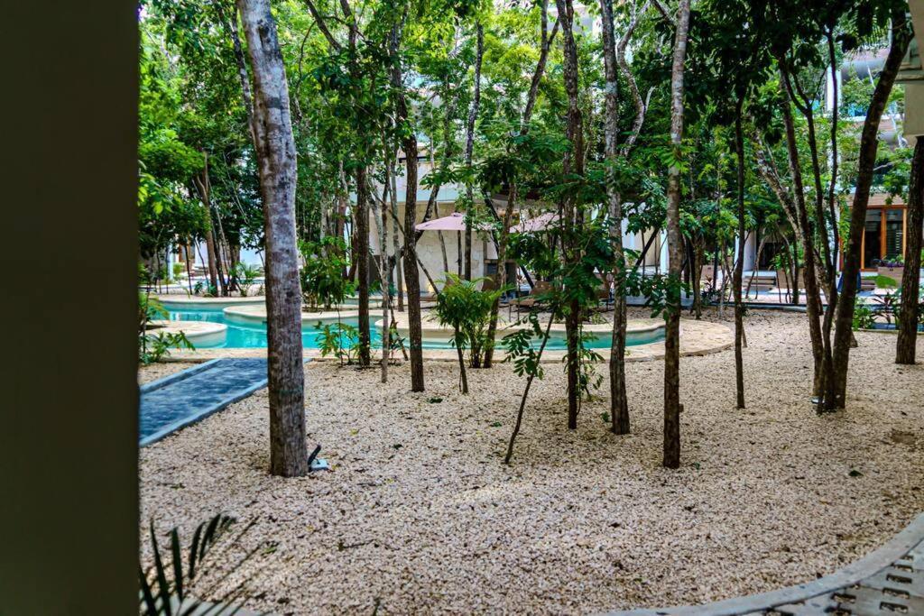 Apartment Ph With Private Pool And Bikes