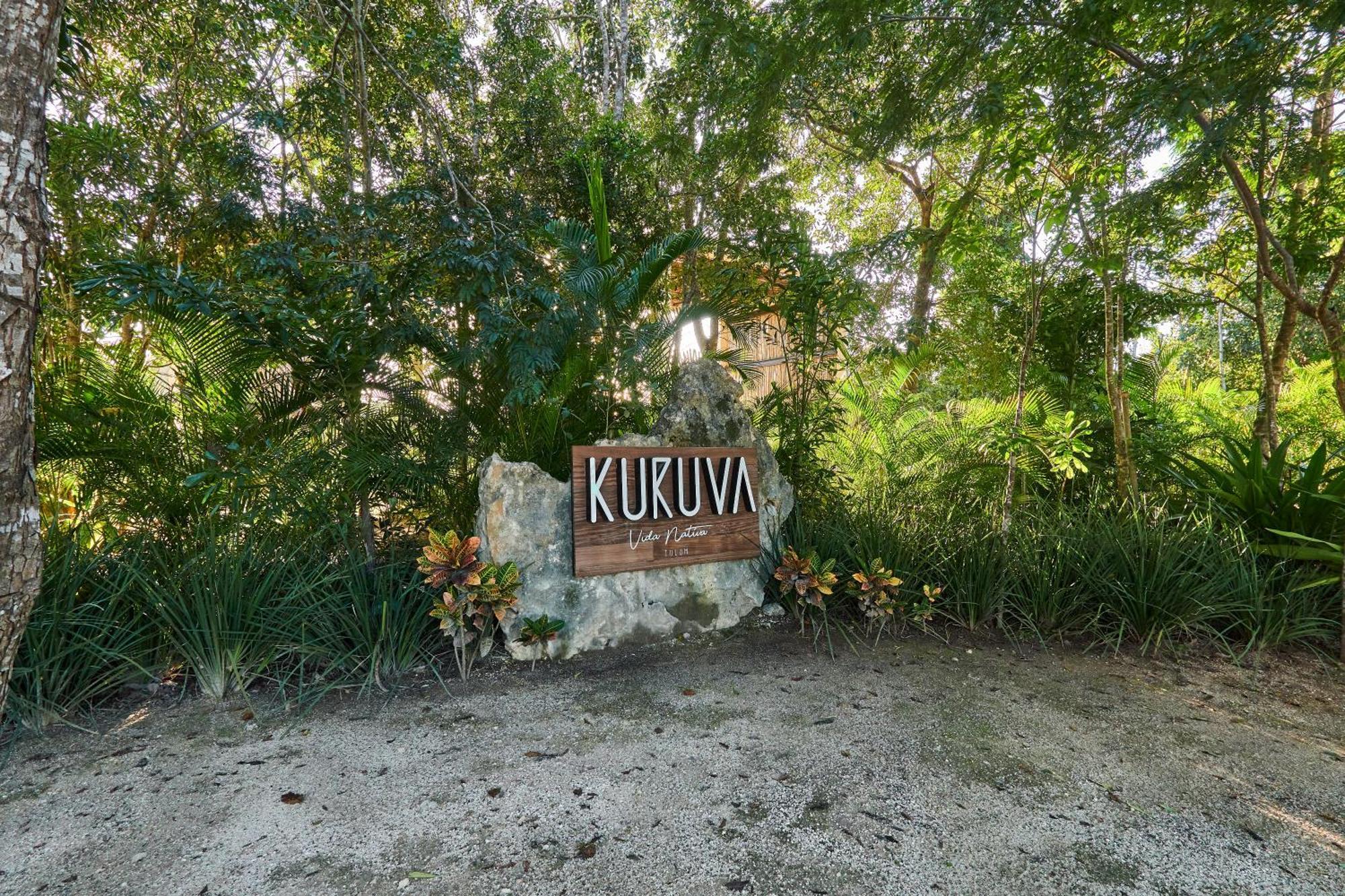 Tortuga Lux 4 Bdr Big Garden*pool *cenote *