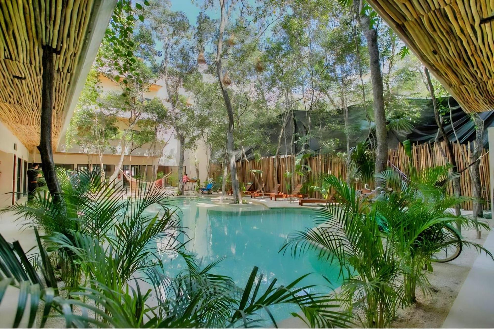 Etnica Residences Jungle Paradise Apartment *