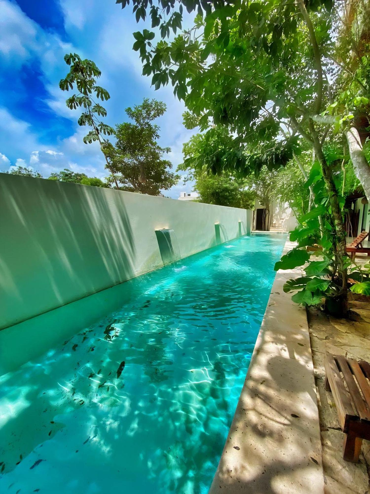 Etnica Ku - Jungle Paradise Holiday home *