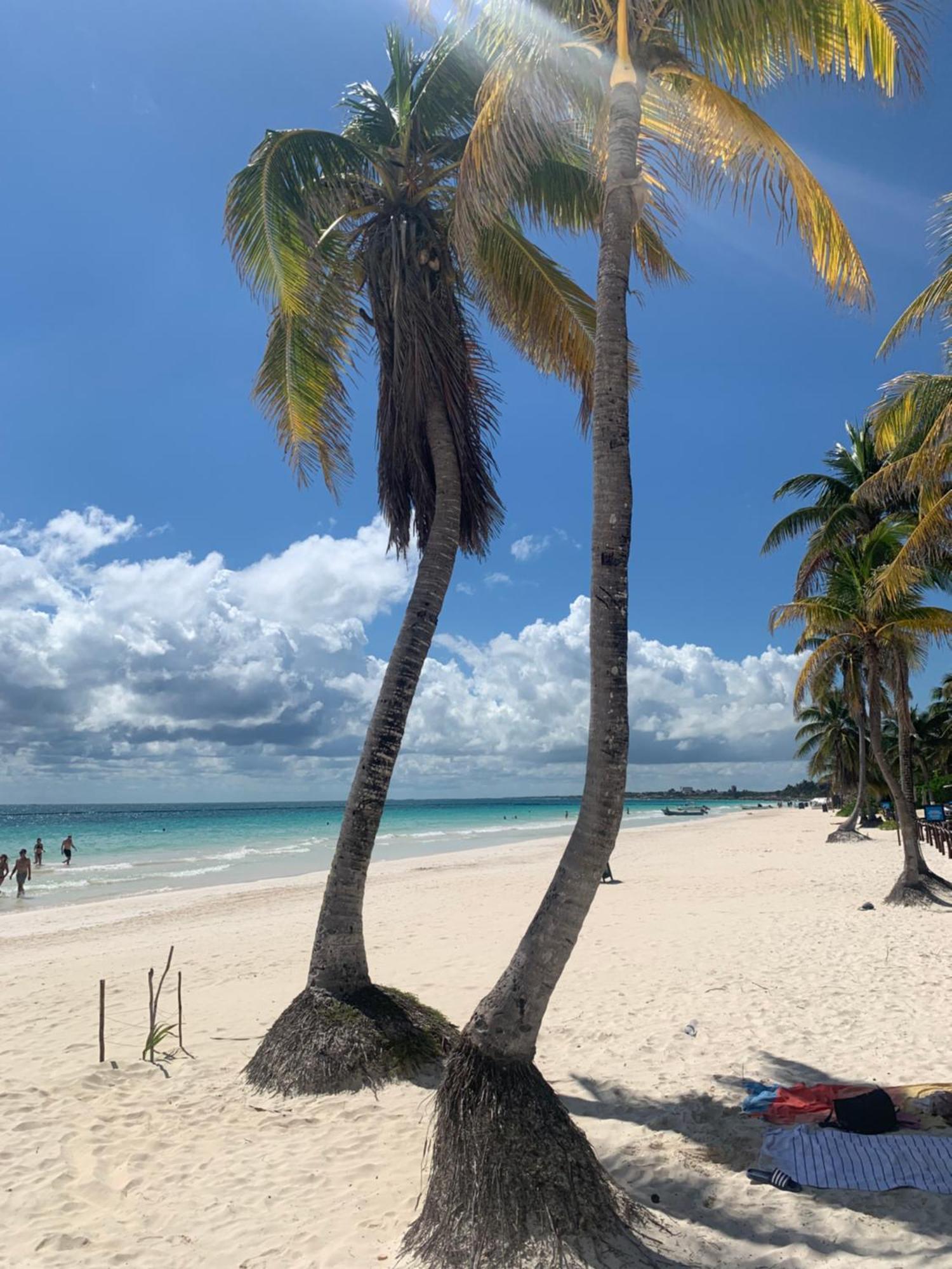 Tua Large Comfortable Pool Parking Space * Tulum