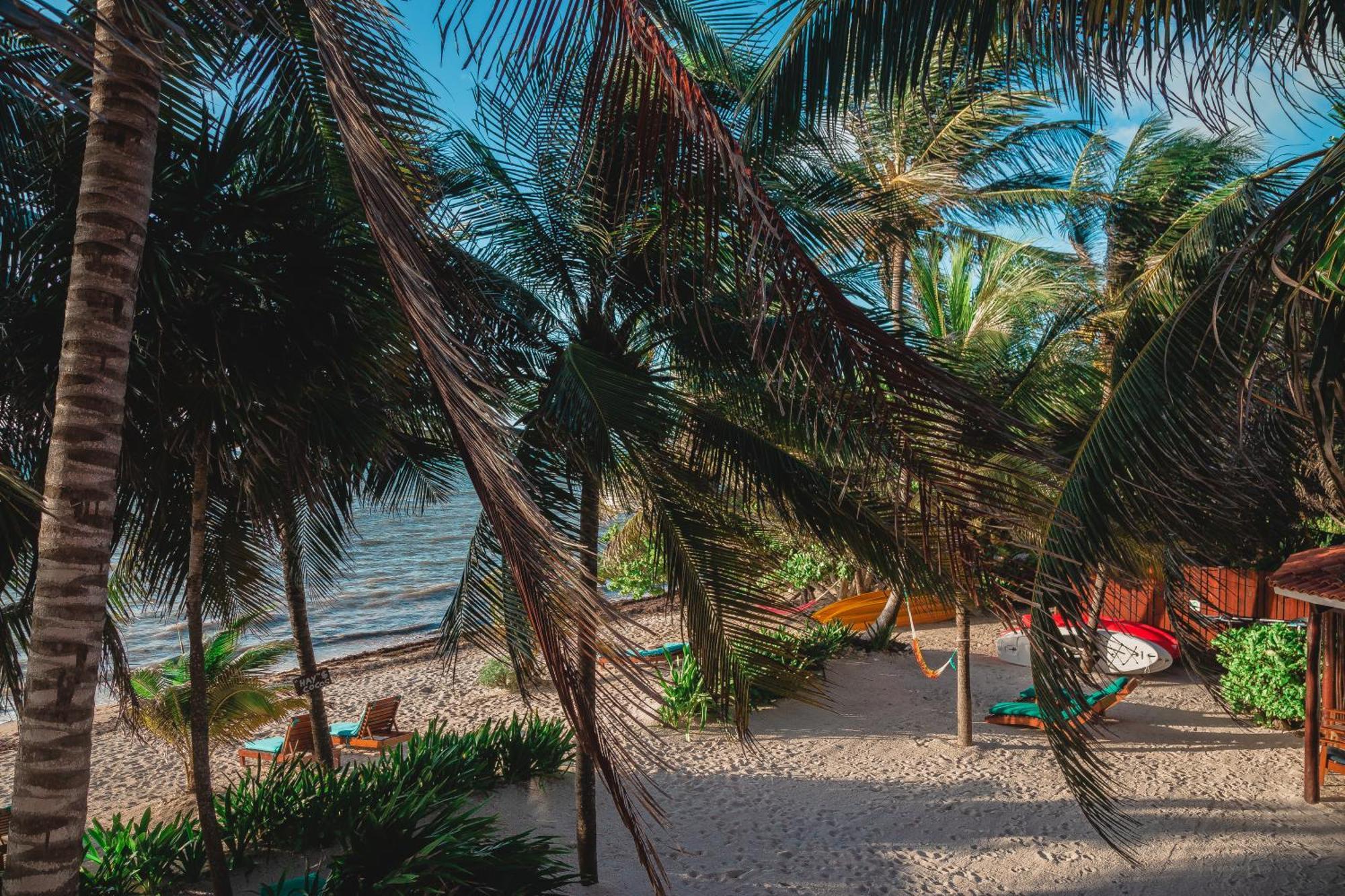 Bed & Breakfast Casa Colibri Tankah 3*