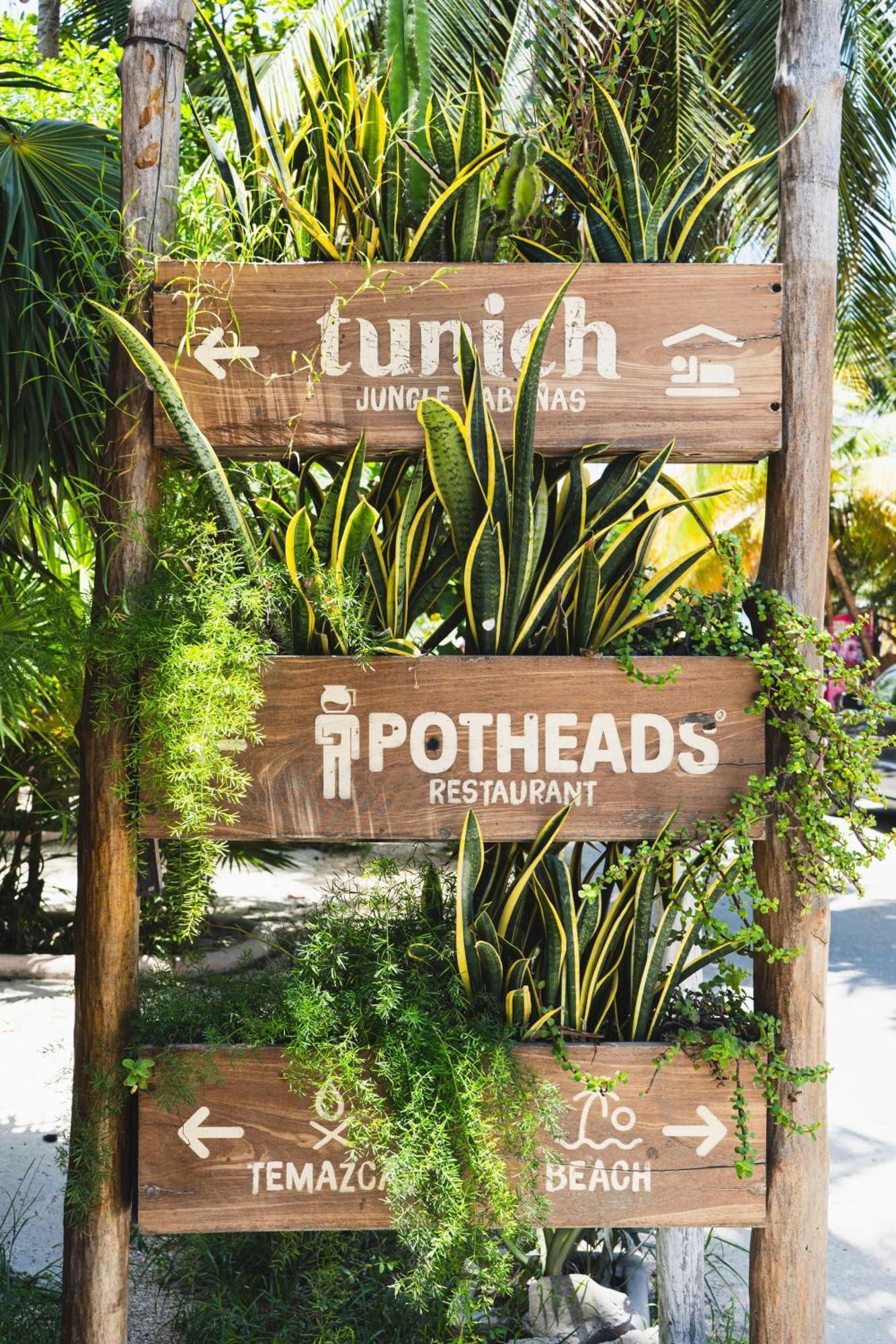 Tunich Jungle Guest house