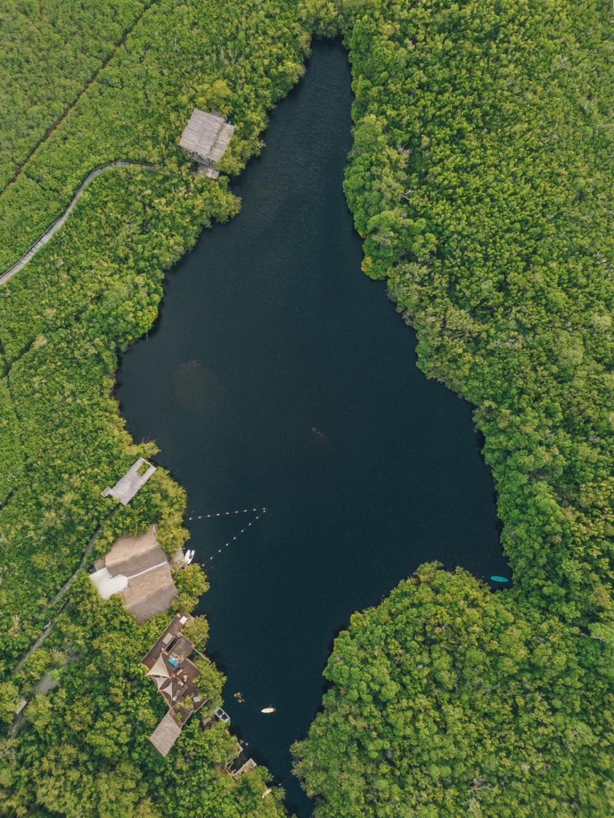 Uman Glamping & Cenote *