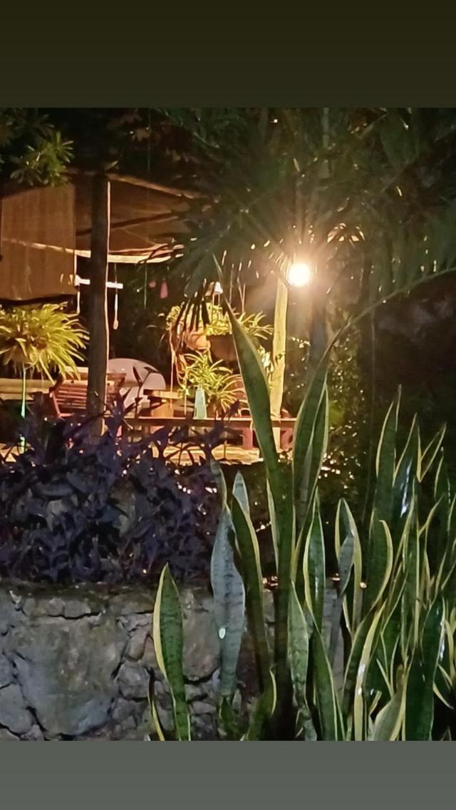 Casa Tzalam Selva Bed & Breakfast