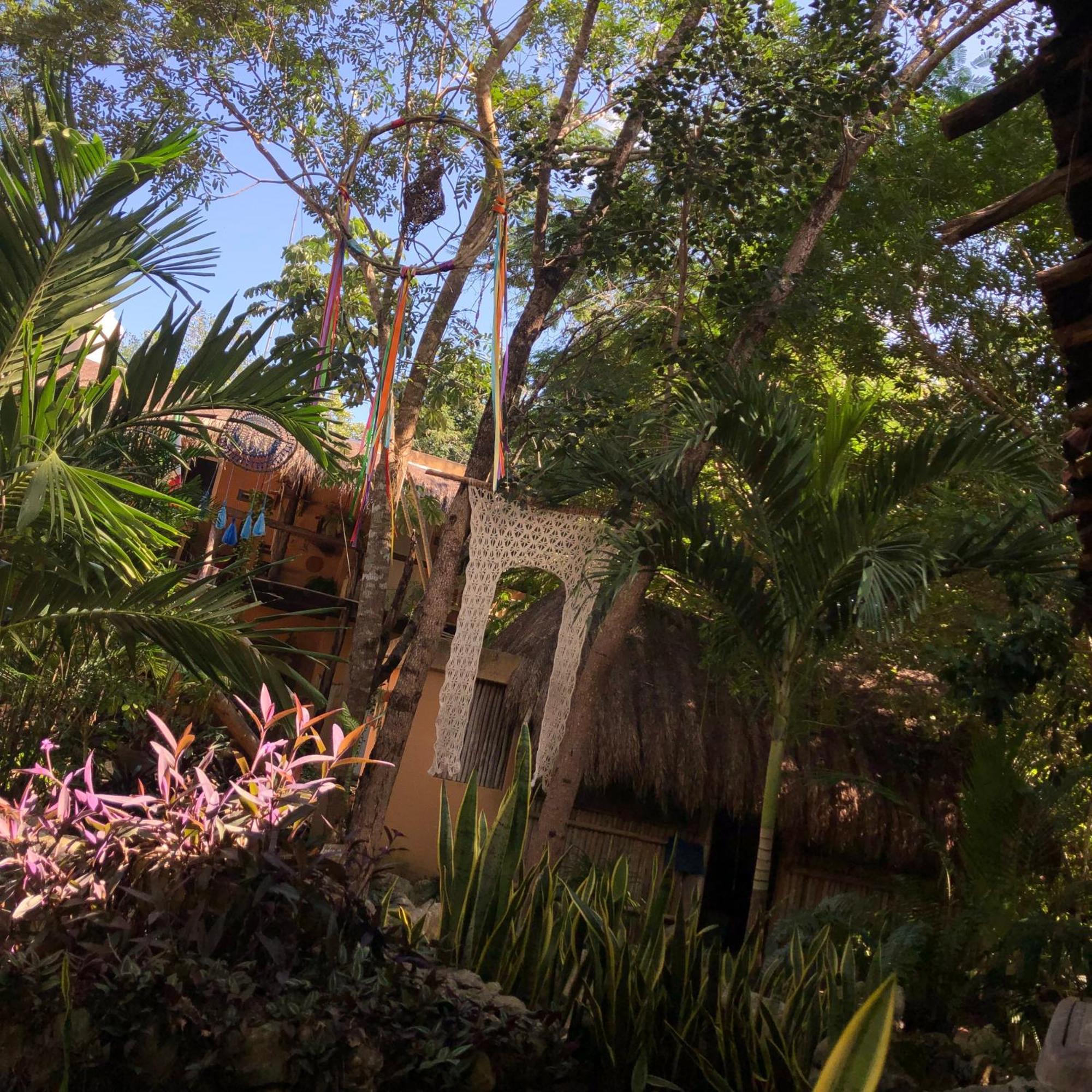 Casa Tzalam Selva Bed & Breakfast 4*