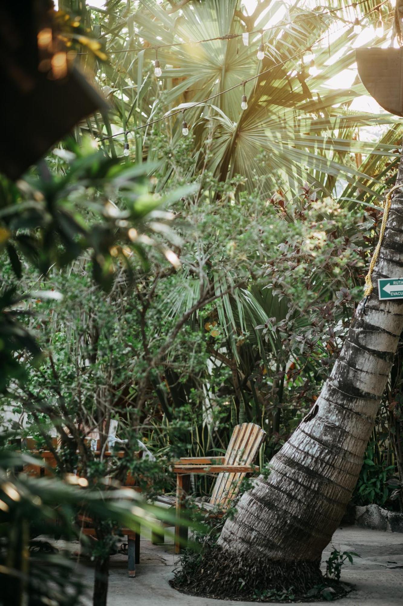 Oryx * Tulum