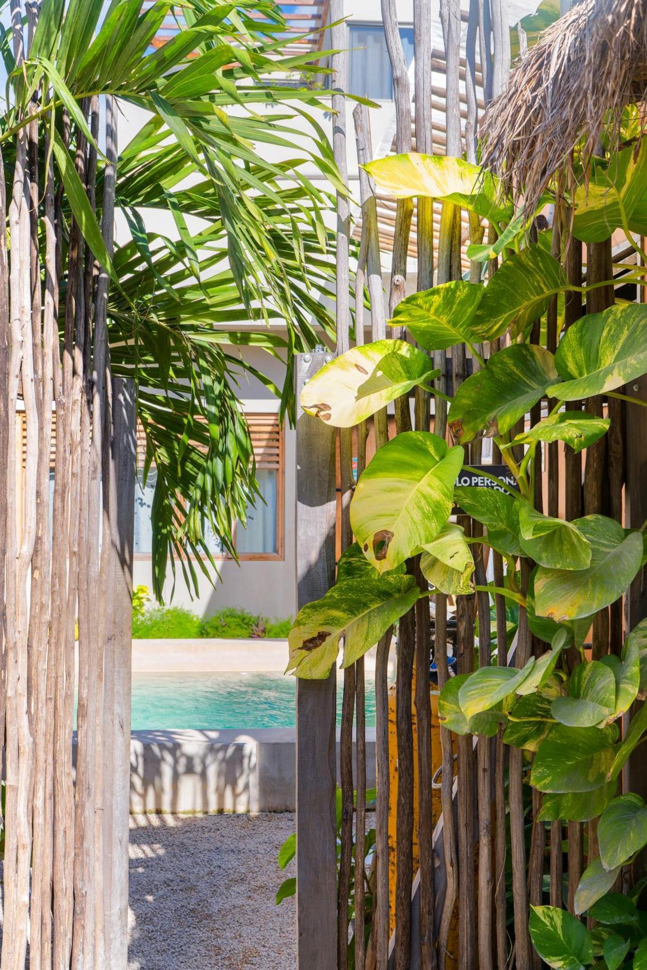 Dona Lucha Hostel Tulum