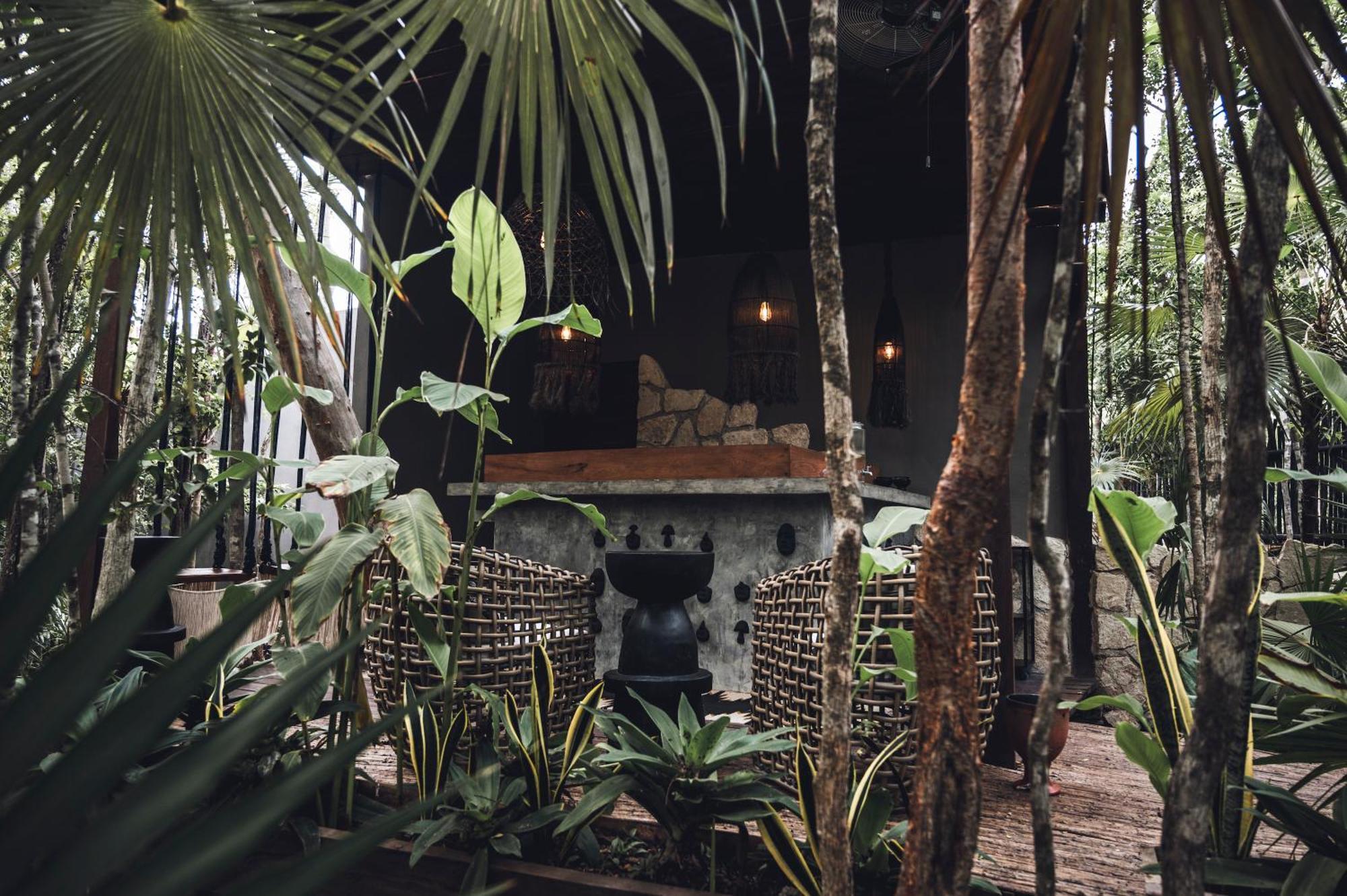 Siwa Tulum Full Wellness Experience & Food Included - Alcohol Not Included Hotel Tulum