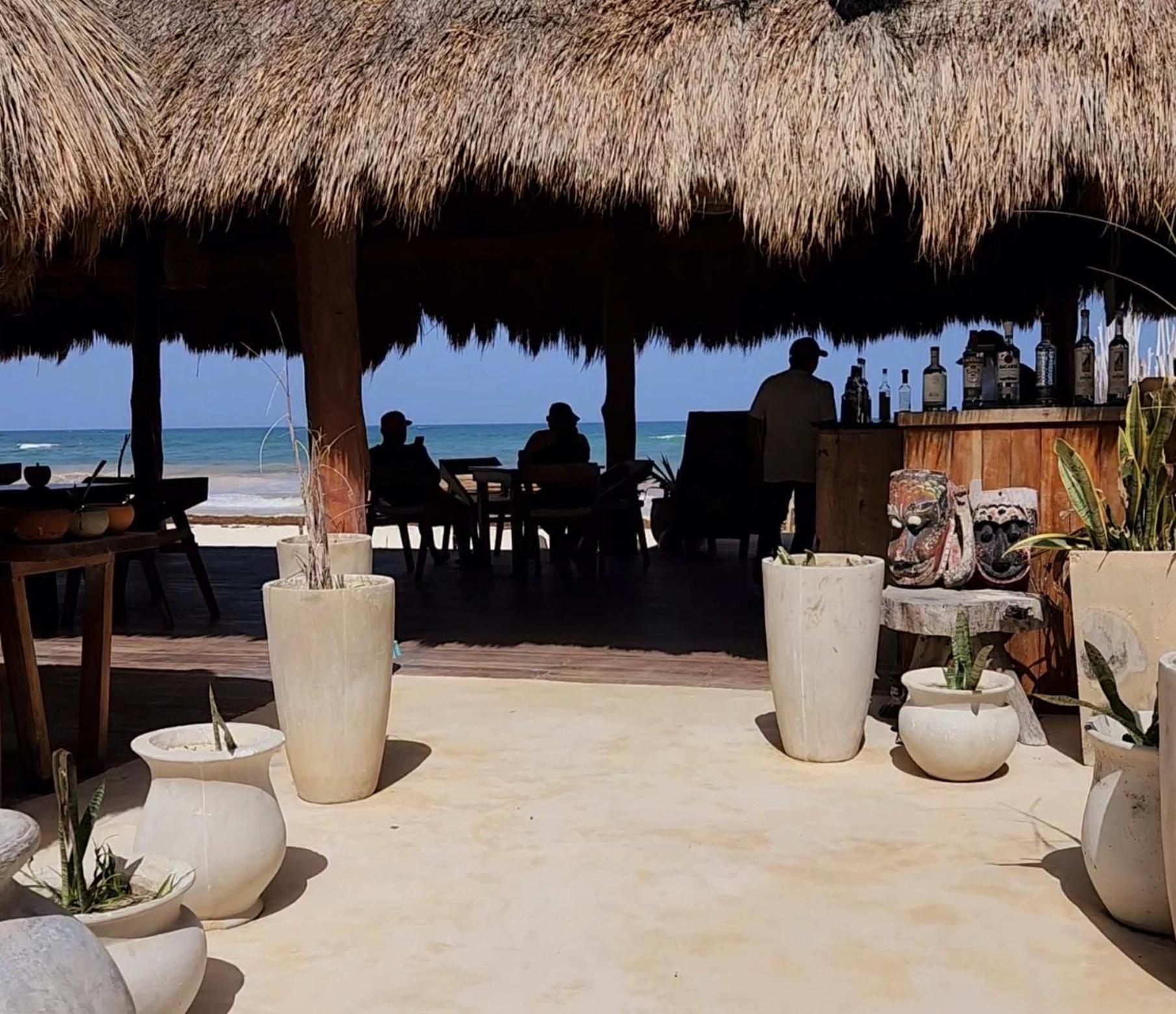 Pal Mar Glamtainer *