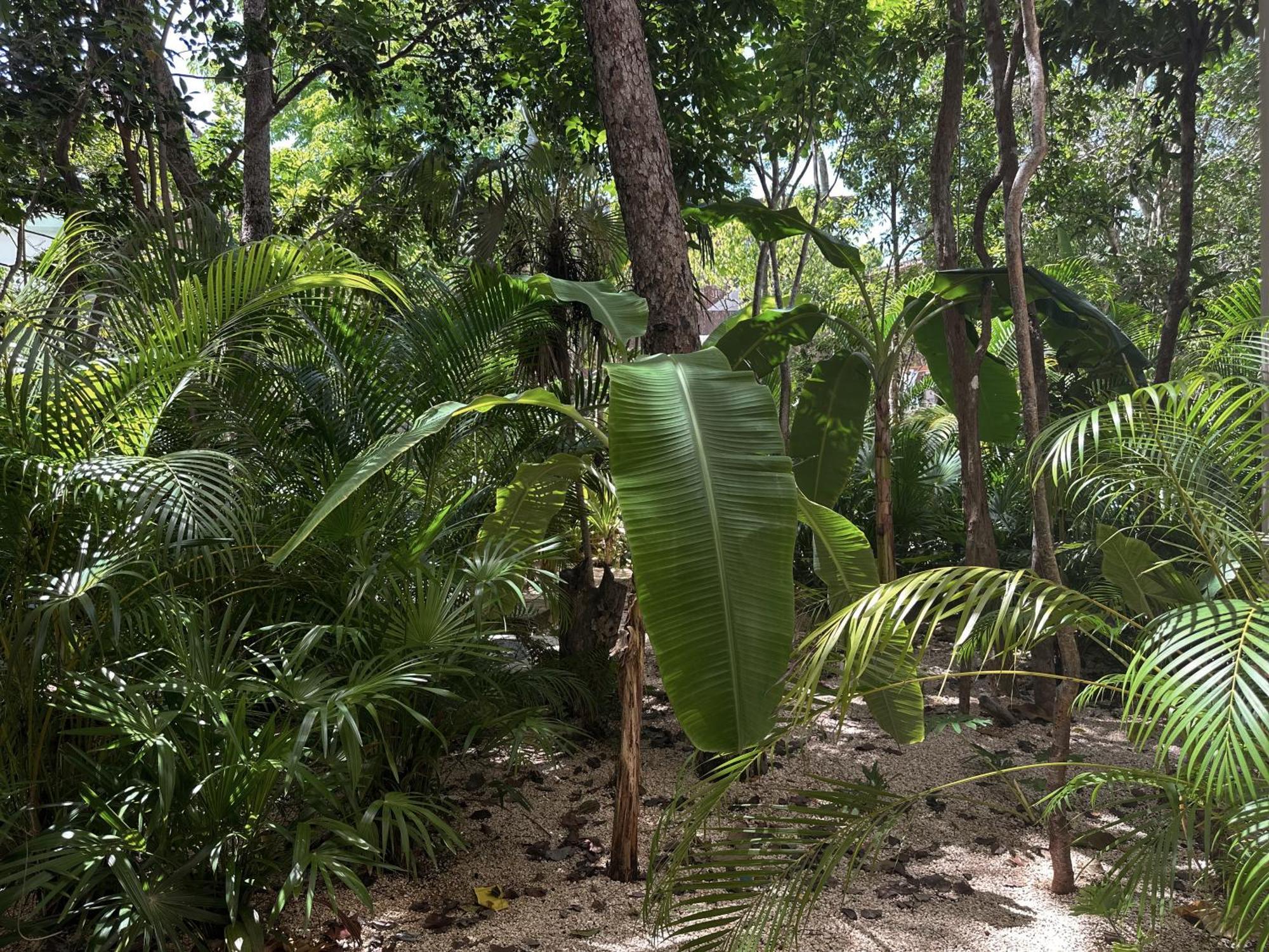 Aparthotel Ophelia Tulum Condo In Aldea Zama Tulum