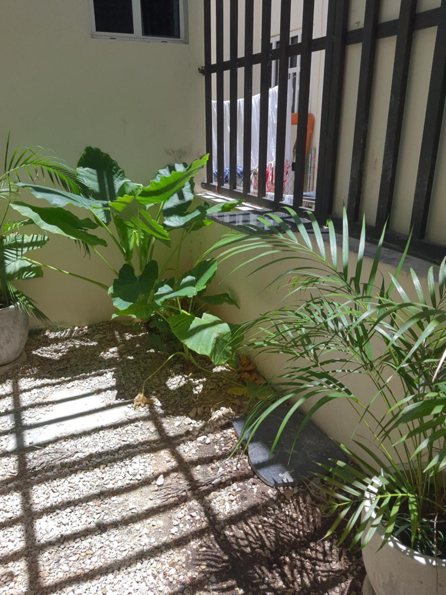 Casa Girasol * Tulum