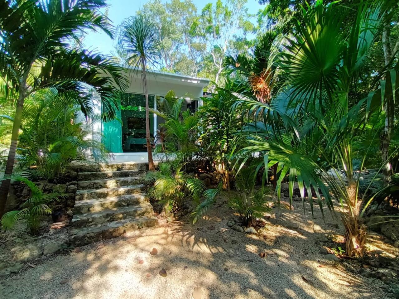 Сasa de vacaciones Viila Ixchel Jungle Pool Tulum