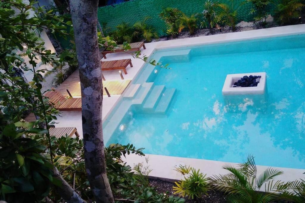 Reflective Jungle Treehouse With Plunge Pool Apartment *