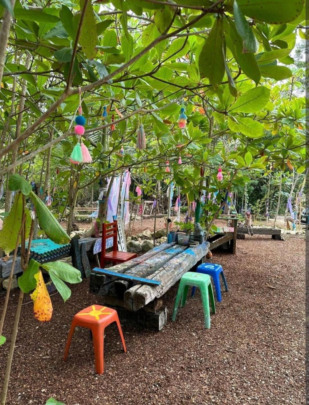 El Cenote 11:11 Campsite