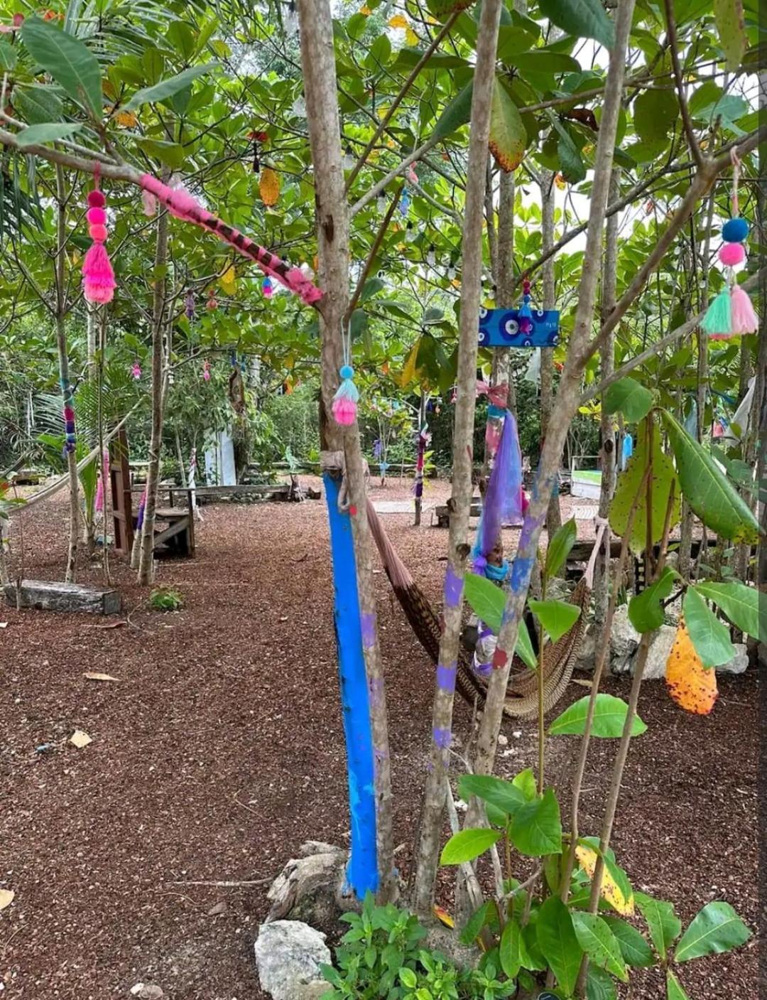 El Cenote 11:11 Campsite