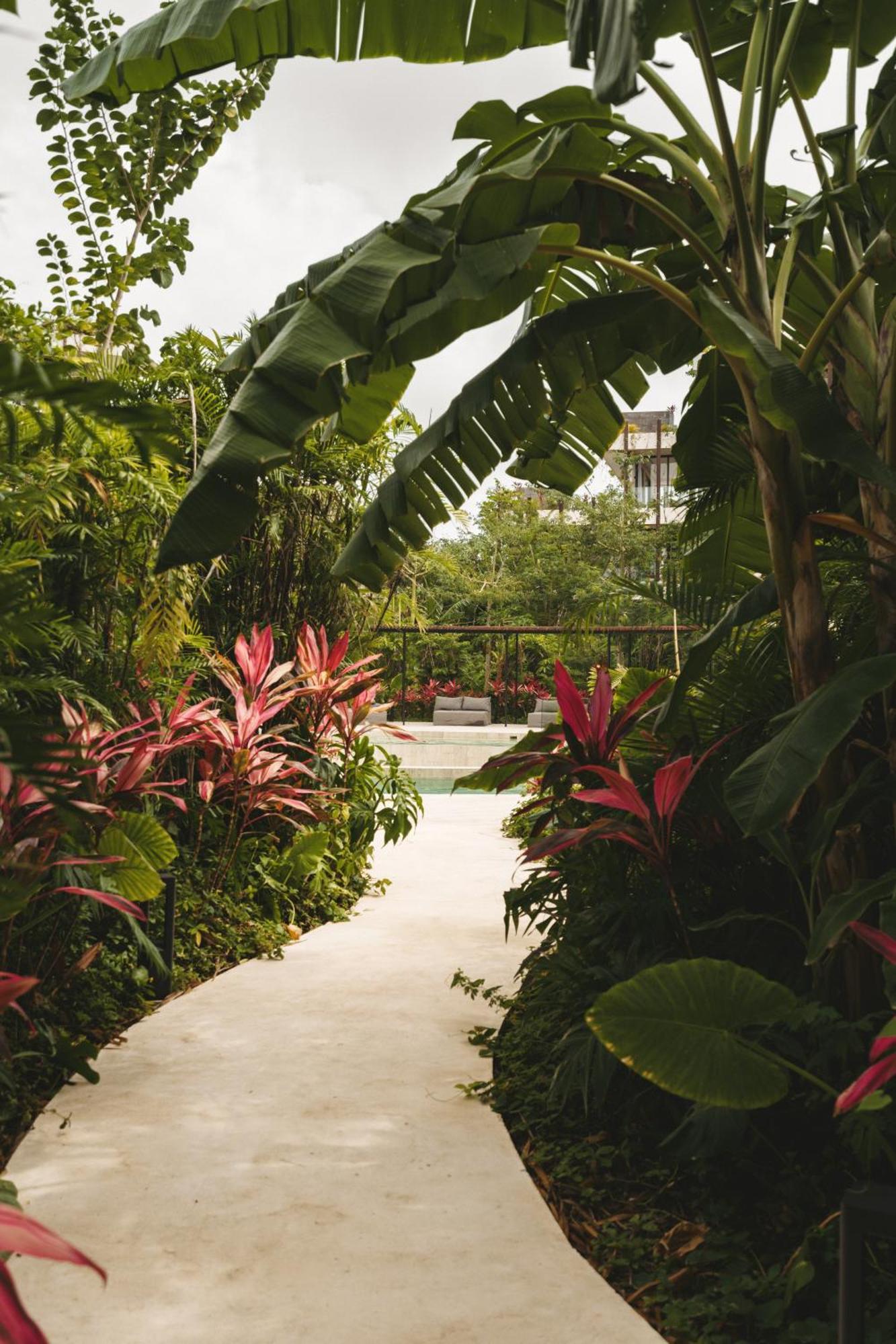 Luxury Loft With Pools, Gym, Rooftop And Panoramic Views Apartment Tulum