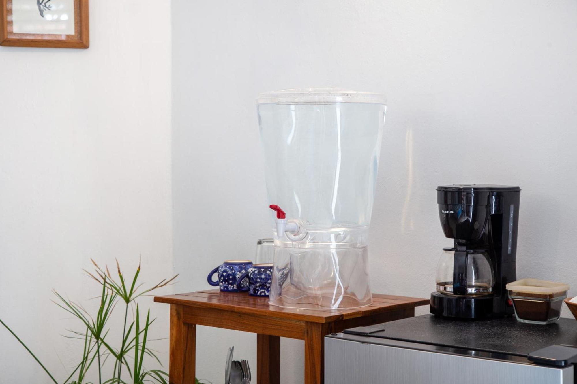 Bed & Breakfast Casa Colibri Tankah