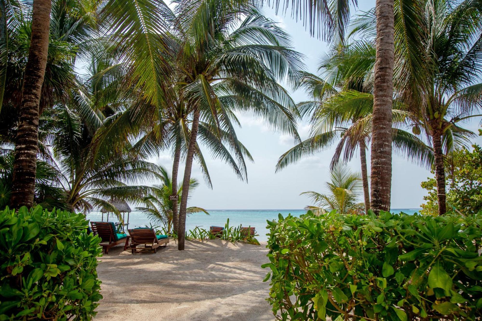 Bed & Breakfast Casa Colibri Tankah Tulum