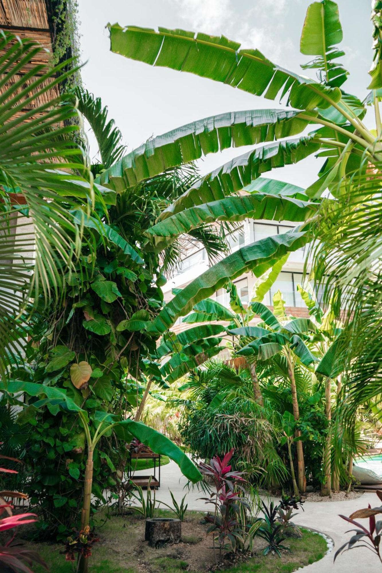 Kinah Retreat - Exclusive Boho Tropical Escape * Tulum