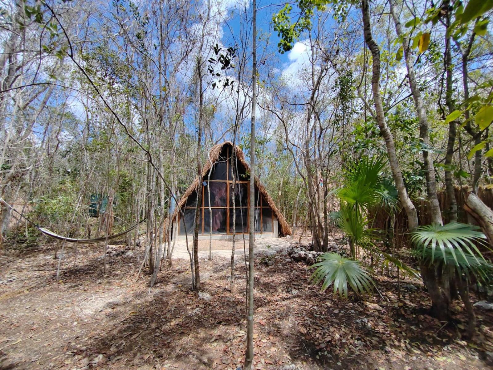 El Cenote 11:11 *