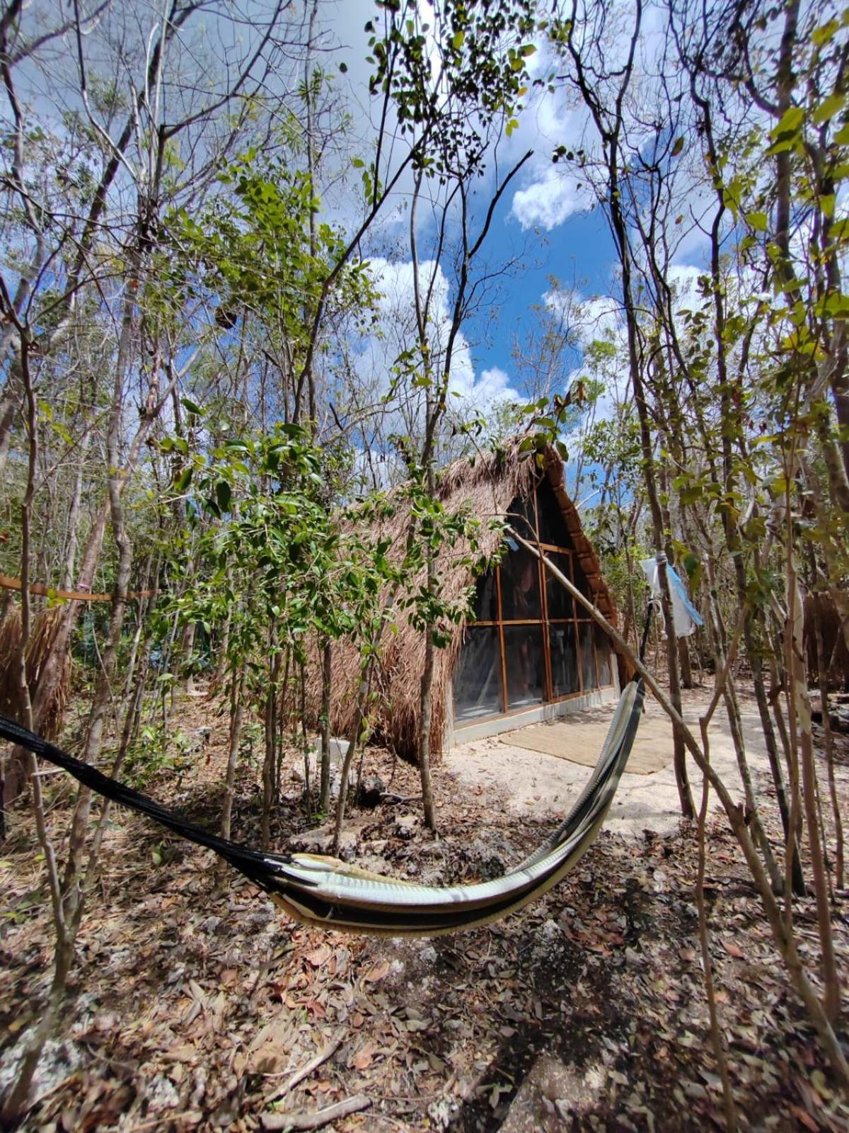 El Cenote 11:11 Campsite