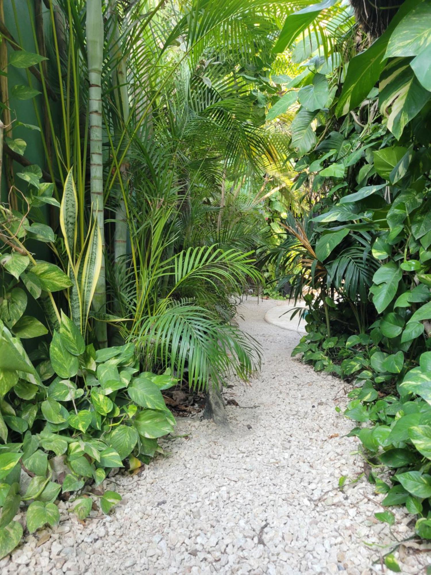 Apartment The Secret Garden Tulum