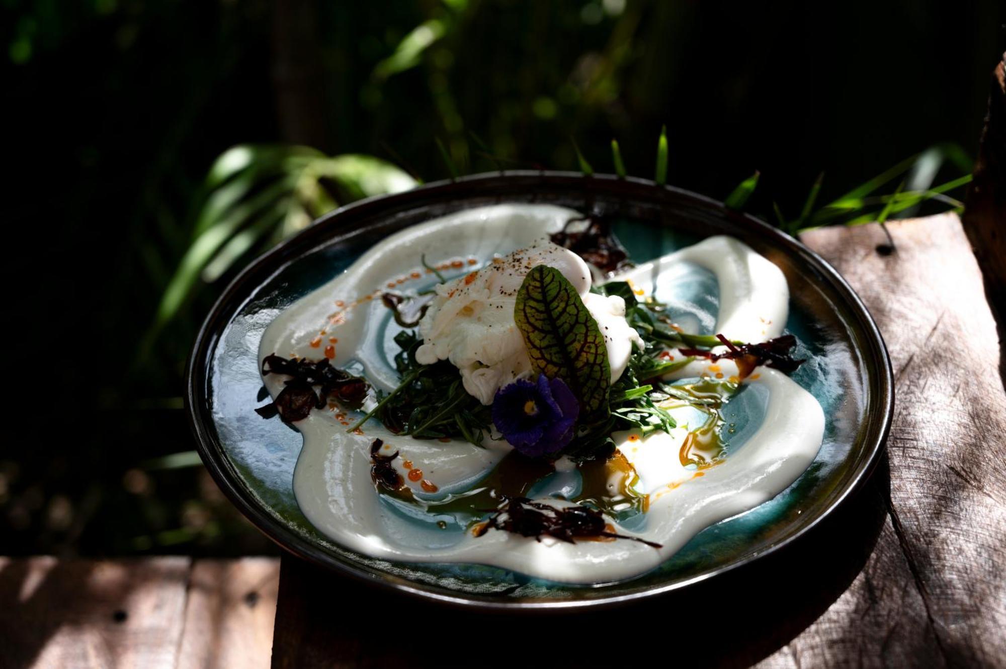 Hotel Siwa Tulum Full Wellness Experience & Food Included - Alcohol Not Included