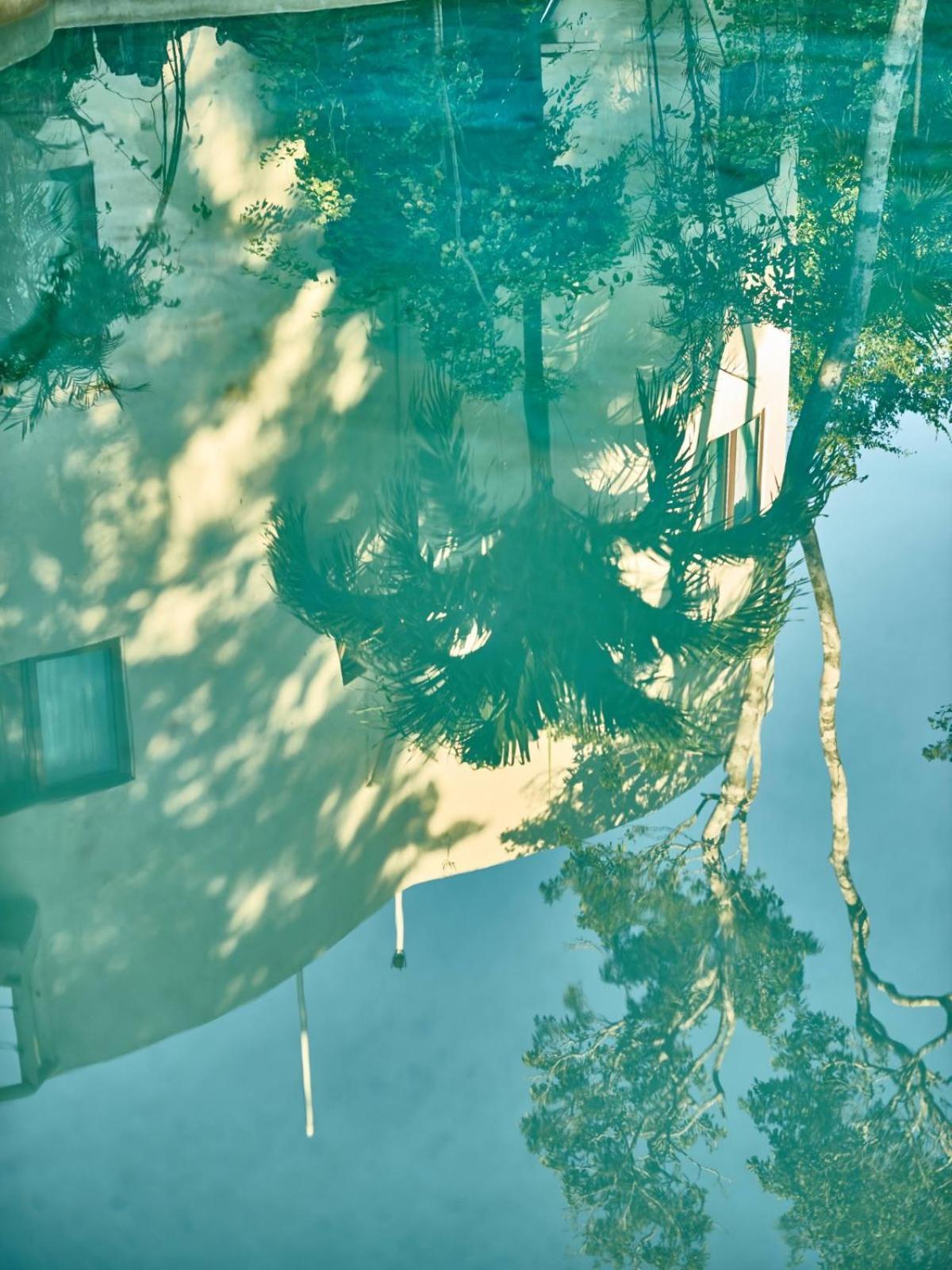 Bed & Breakfast Agua Y Fuego Tulum