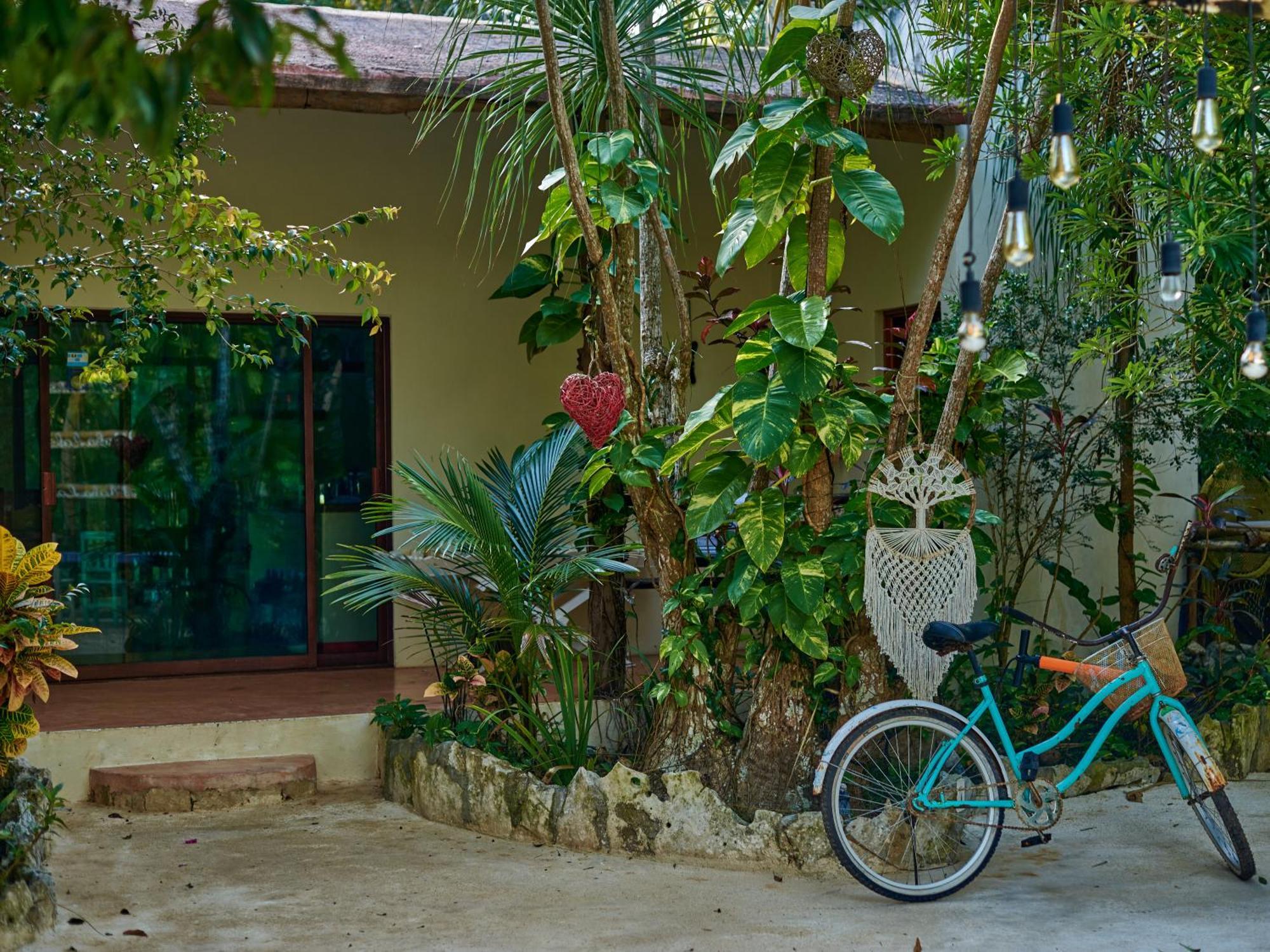 Bed & Breakfast Agua Y Fuego