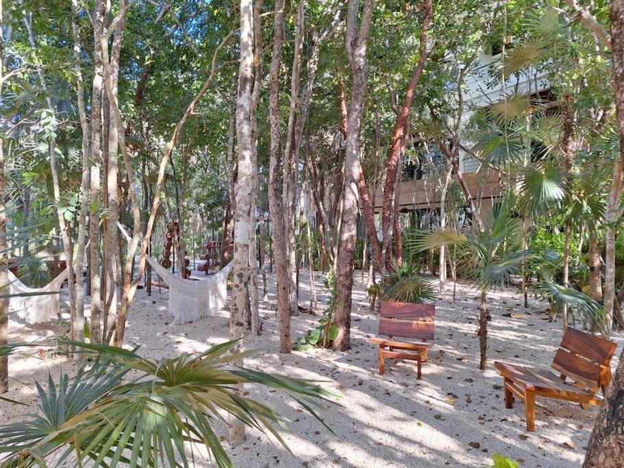 Penthouse Con Alberca Privada Tulum