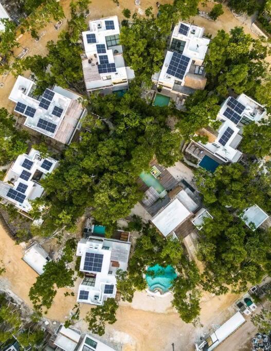 Dream House 2,jacuzzi And Cenote Tulum
