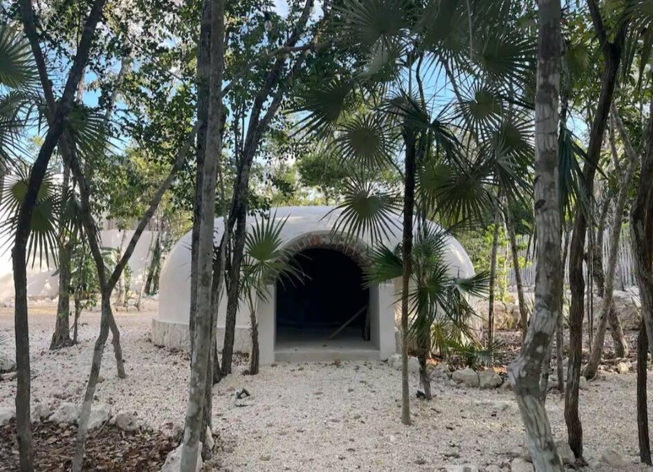 Villa Dream House 2,jacuzzi And Cenote Tulum