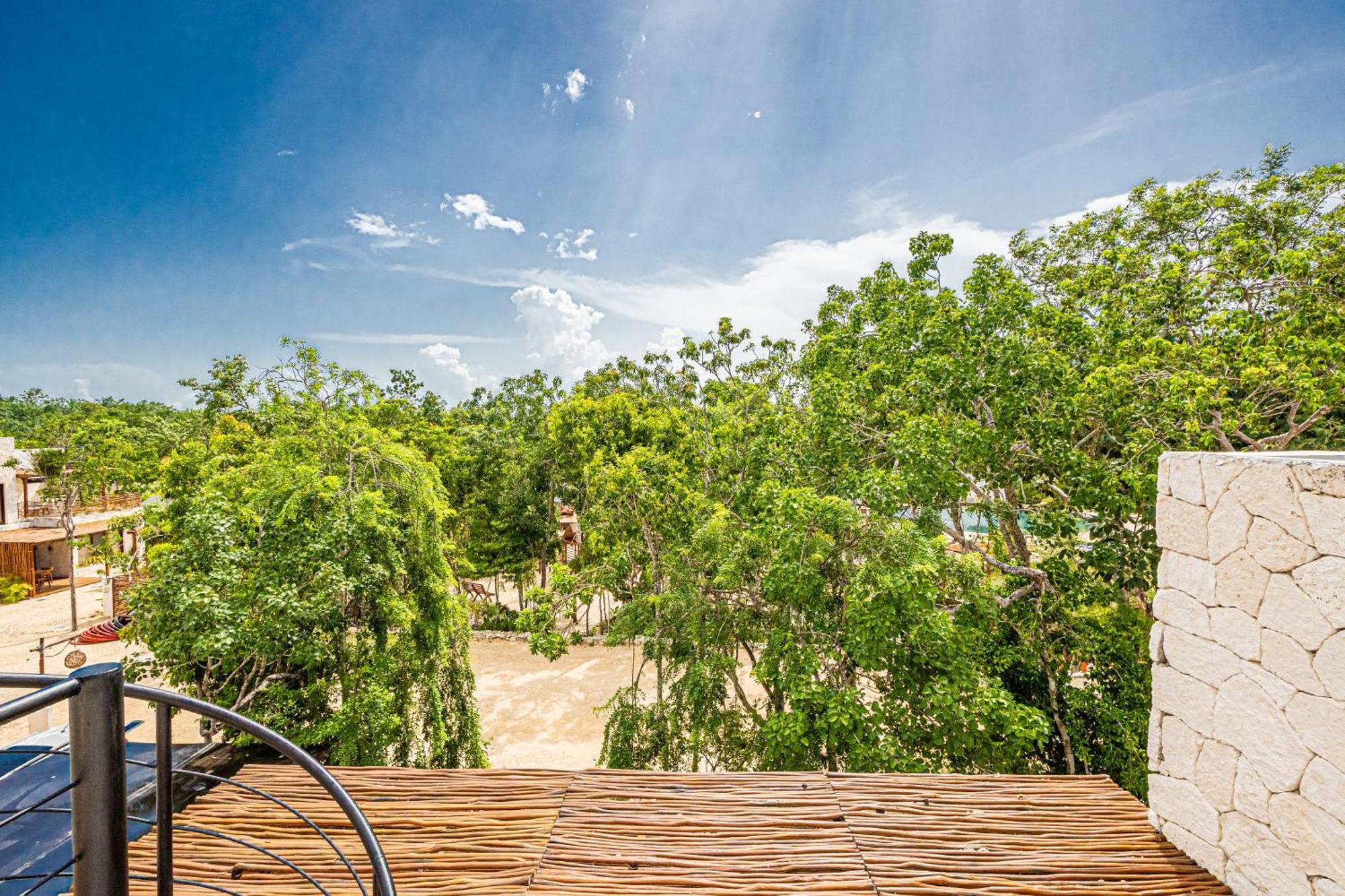 Jungle - Cenote Villa Tulum
