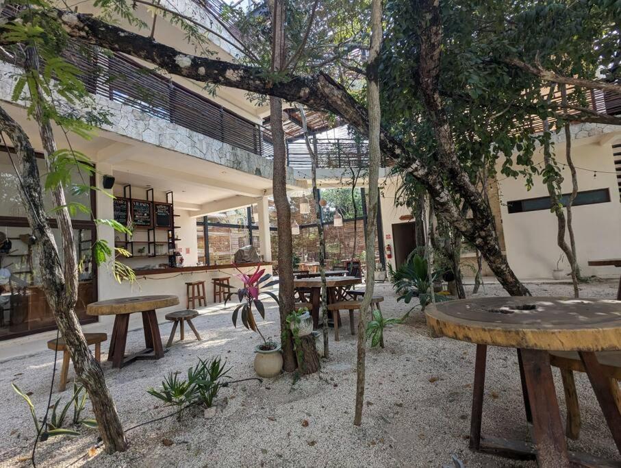 Entre Cenotes Y Selva Apartment *
