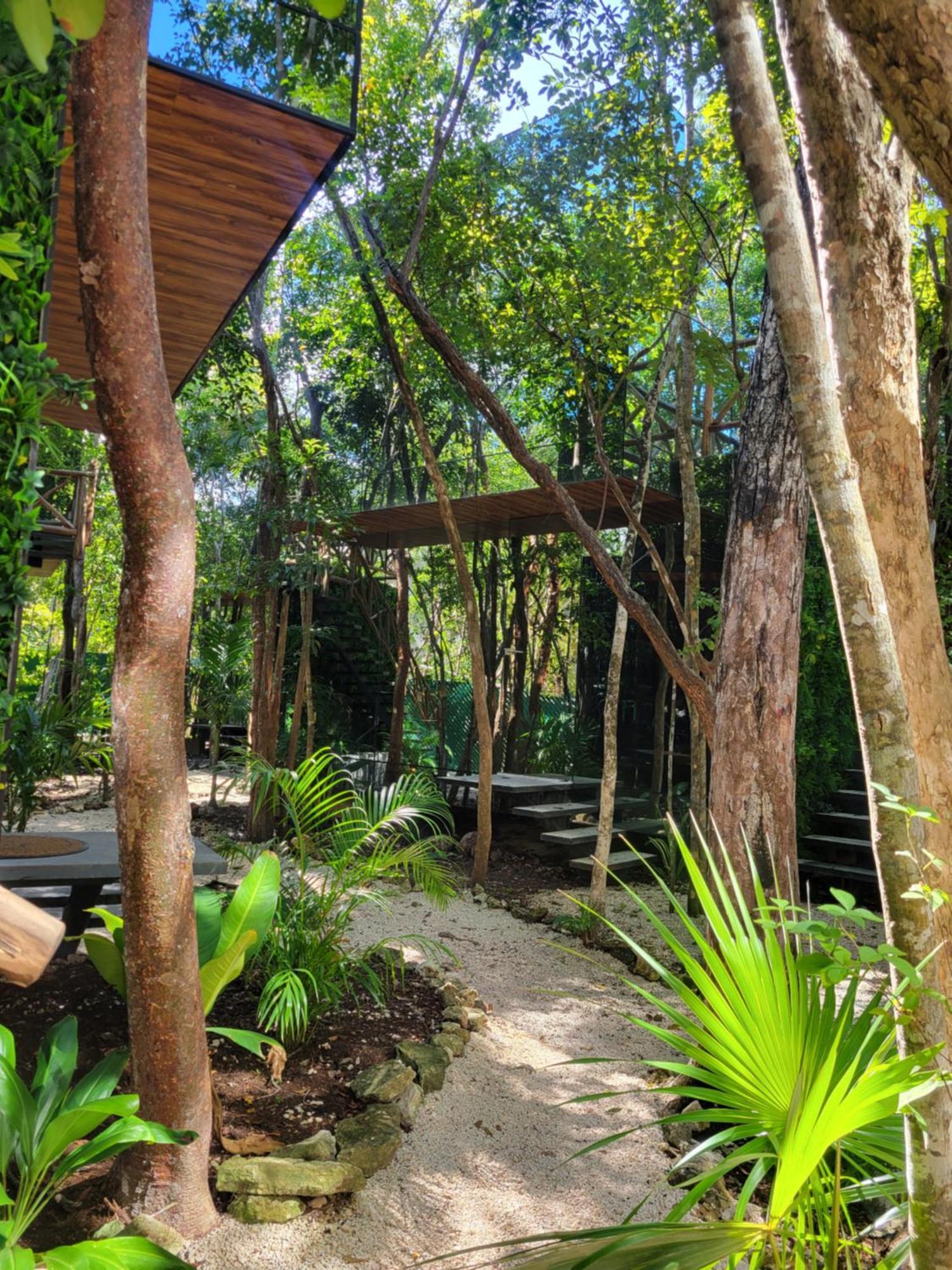 Reflective Jungle Treehouse With Plunge Pool Apartment *