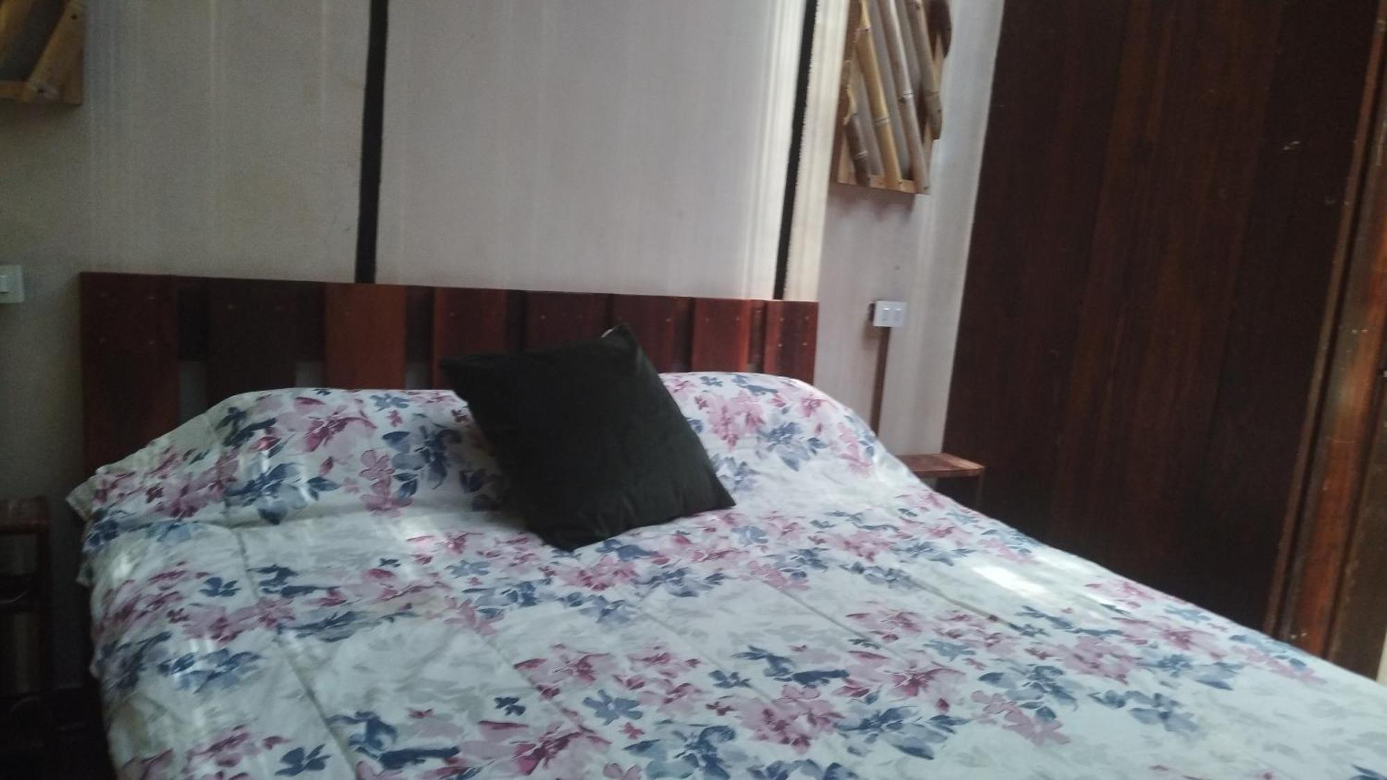 Free Style Guest house *