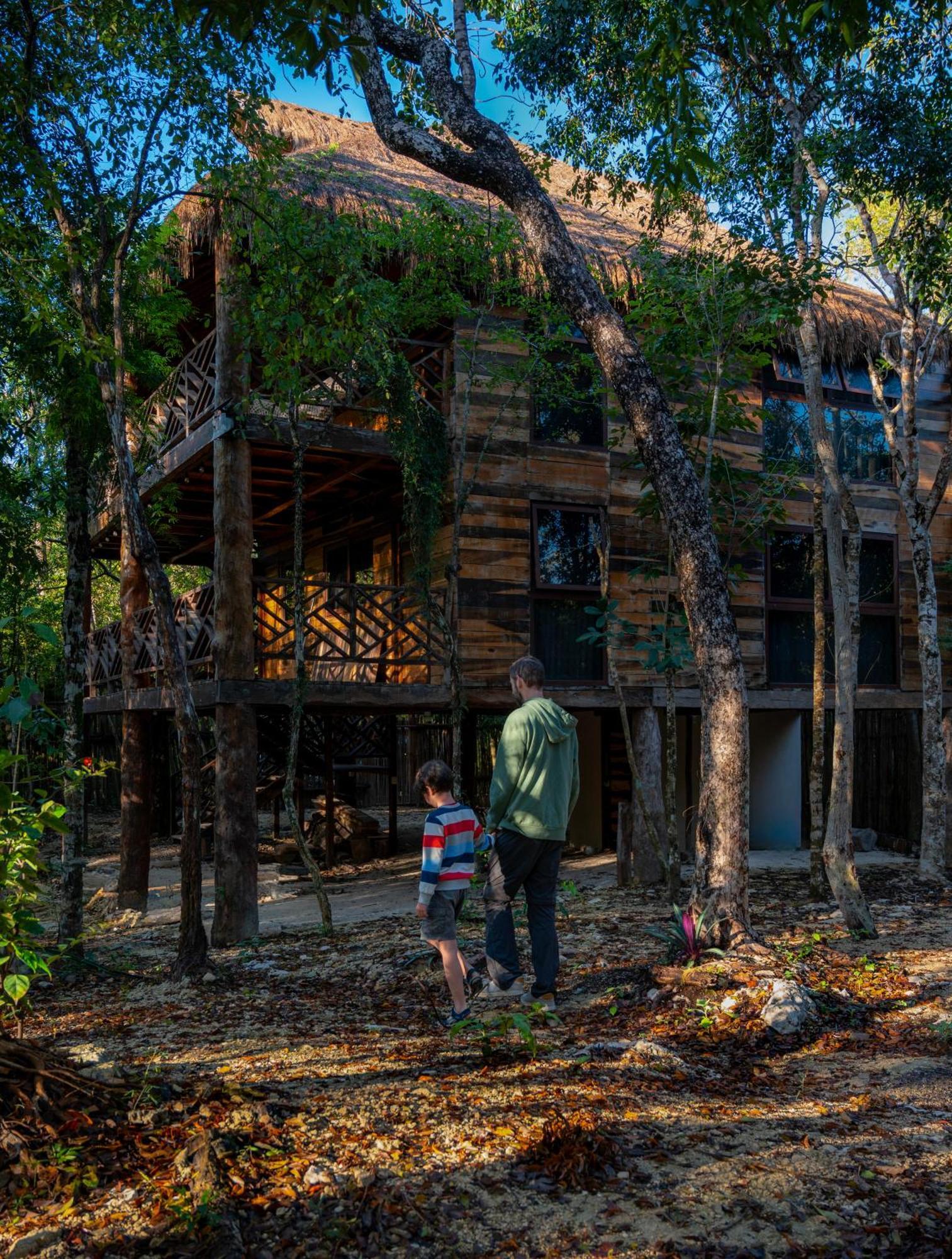 Treehouse H2ojos Campsite 4*