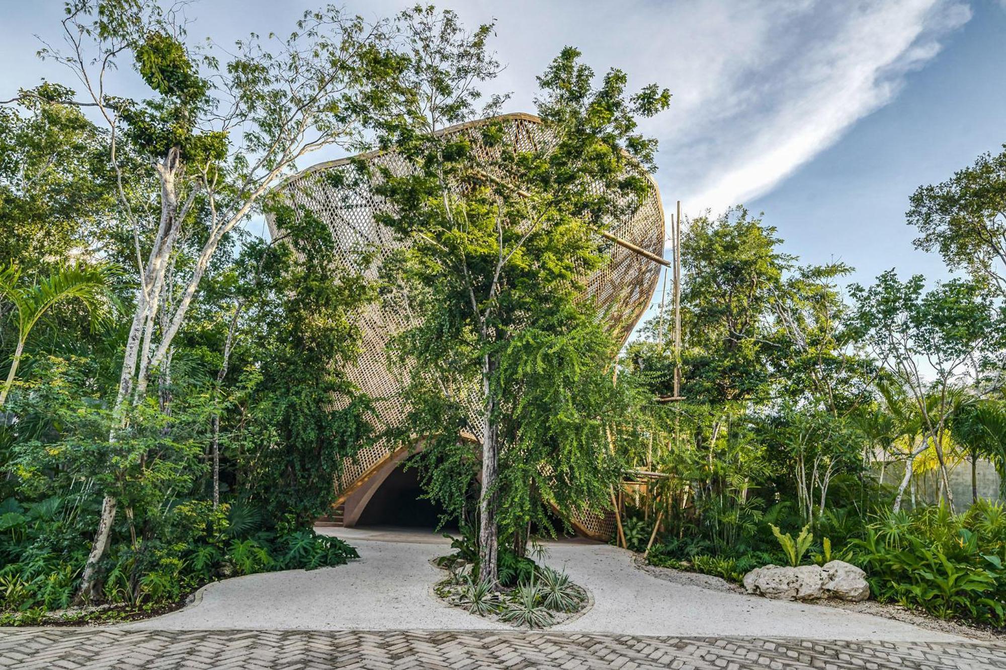 Stunning 1br In Jungle With Pool, Restaurant And Gym Apartment