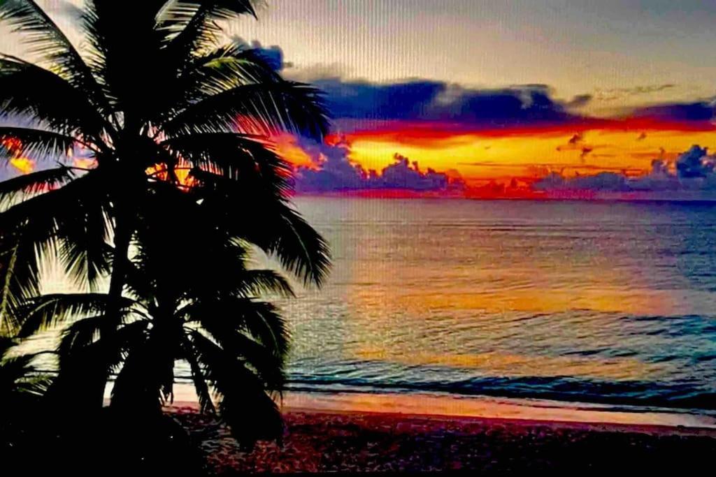 New 5 Star Condo-infinity And Cenote Pool