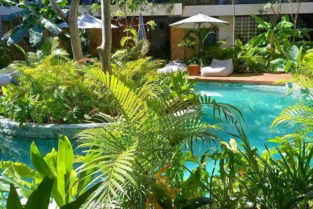 New 5 Star Condo-infinity And Cenote Pool * Tulum