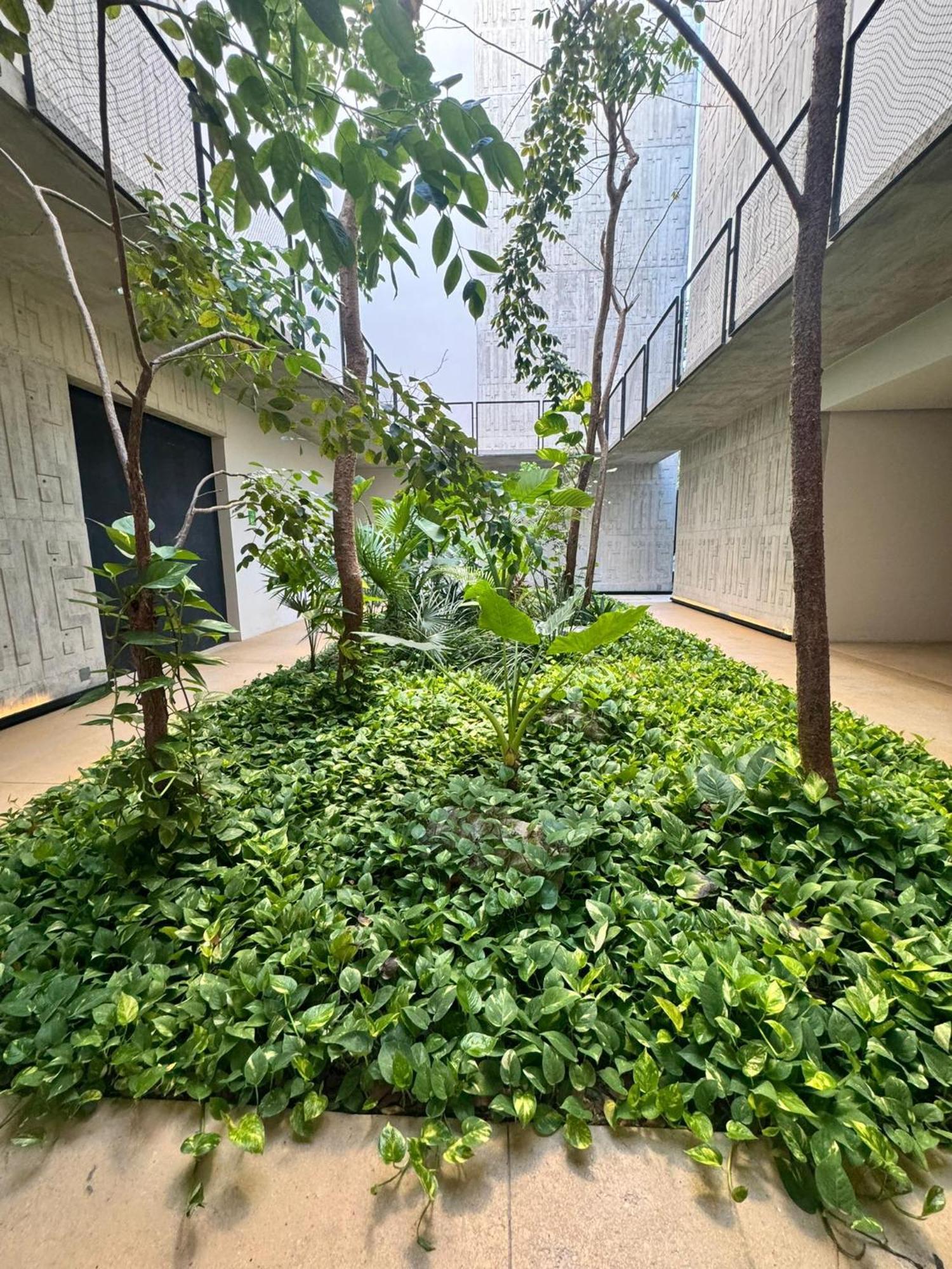 Iik By Groovy Stays- A Hip Condo-hotel With Wifi, Rooftop, Pool, Sleeps 6 Aparthotel Tulum