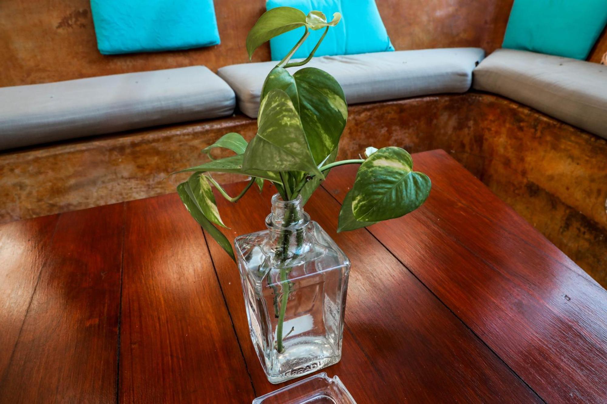 Ana Oasis Aldea Z Apartment Tulum