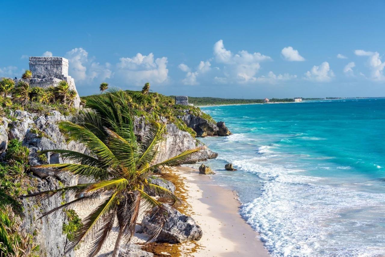 5 Star New Luxury With Cenote And Infinity Pool Apartment Tulum