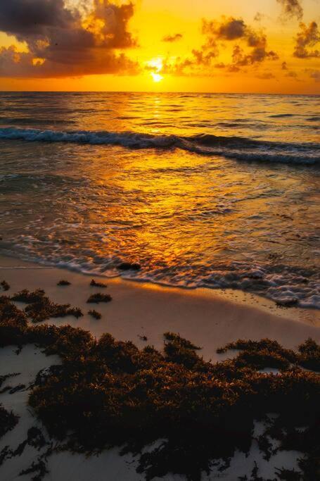 Cozy In Aldea Zama 10 Min From The Apartment Tulum
