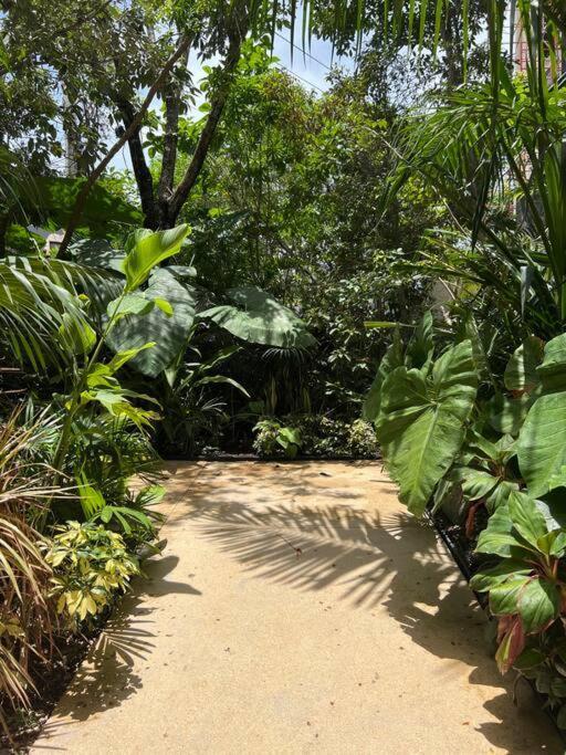 Apartment Location Tulum