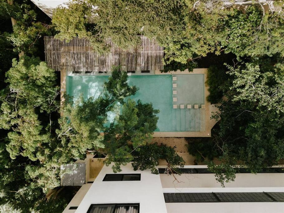 Designer Casa Coba Plunge Pool Apartment *