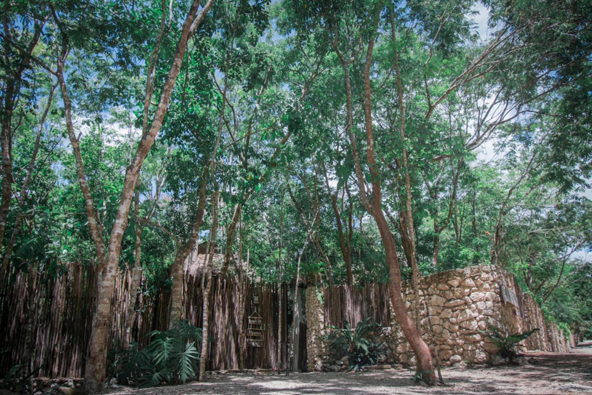 Pepem Holistic Experience - Peaceful Retreat Near (adults Only) Pousada