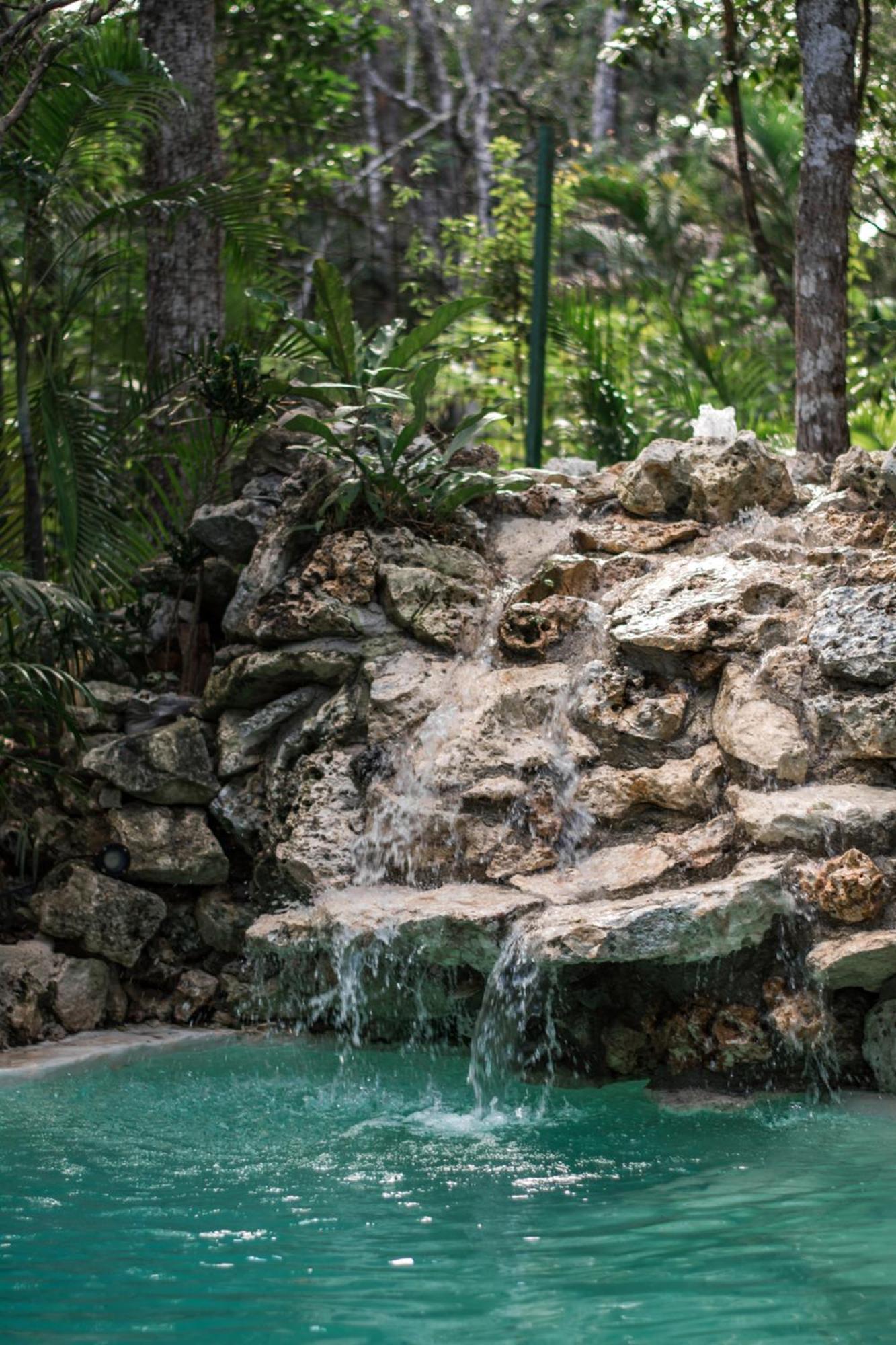 Pousada Pepem Holistic Experience - Peaceful Retreat Near (adults Only) *